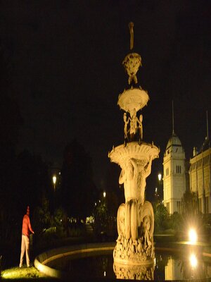 cover image of The Luminary